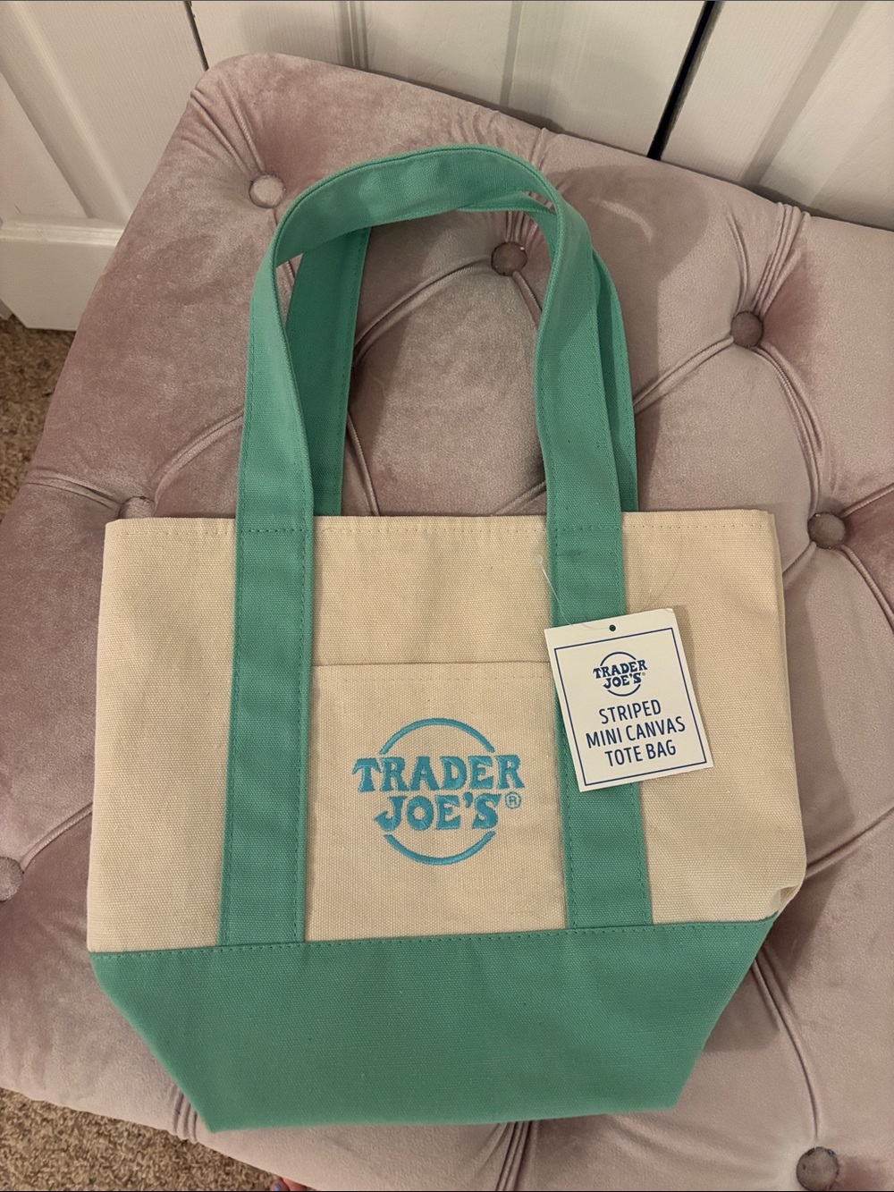 Trader Joe’s TEAL mini Tote Bag